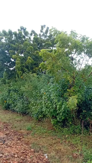 1/4 Acre Plot at Galu Beach, at End of 2nd Beach Row