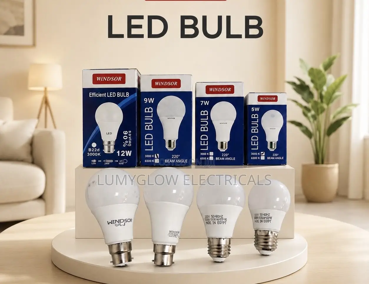 10pcs at 60 Each 9wattsLED BULBS