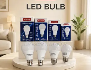 10pcs at 60 Each 9wattsLED BULBS