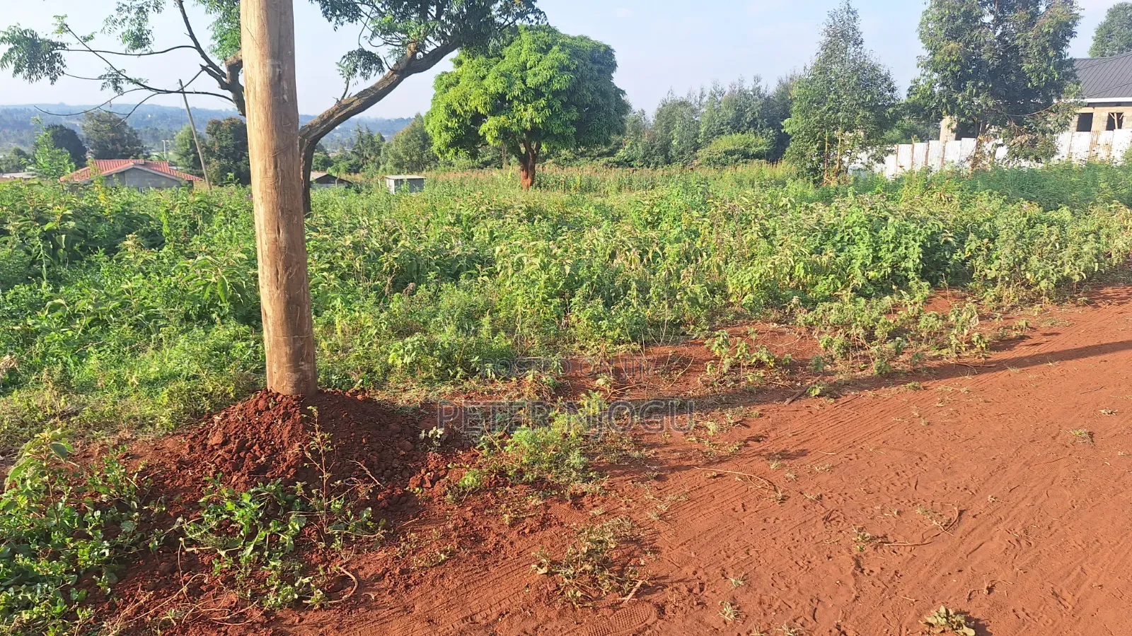 Plots for Sale