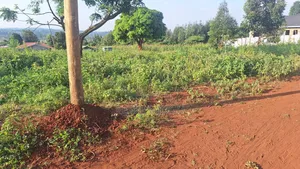 Plots for Sale
