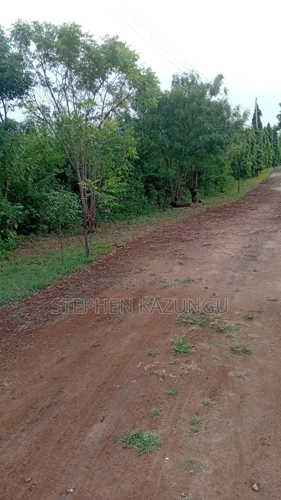 2nd Row's End 1/4 Acre Plot Size in Galu Beach Near Almanara Hotel.