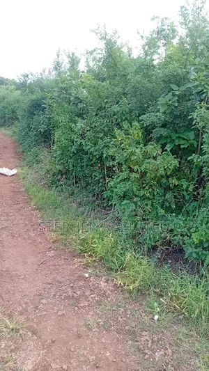 2nd Row's End 1/4 Acre Plot Size in Galu Beach Near Almanara Hotel.