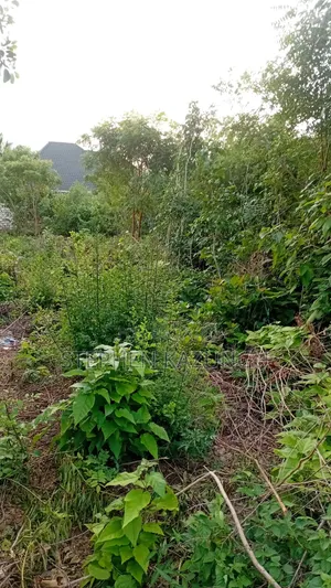 2nd Row's End 1/4 Acre Plot Size in Galu Beach Near Almanara Hotel.