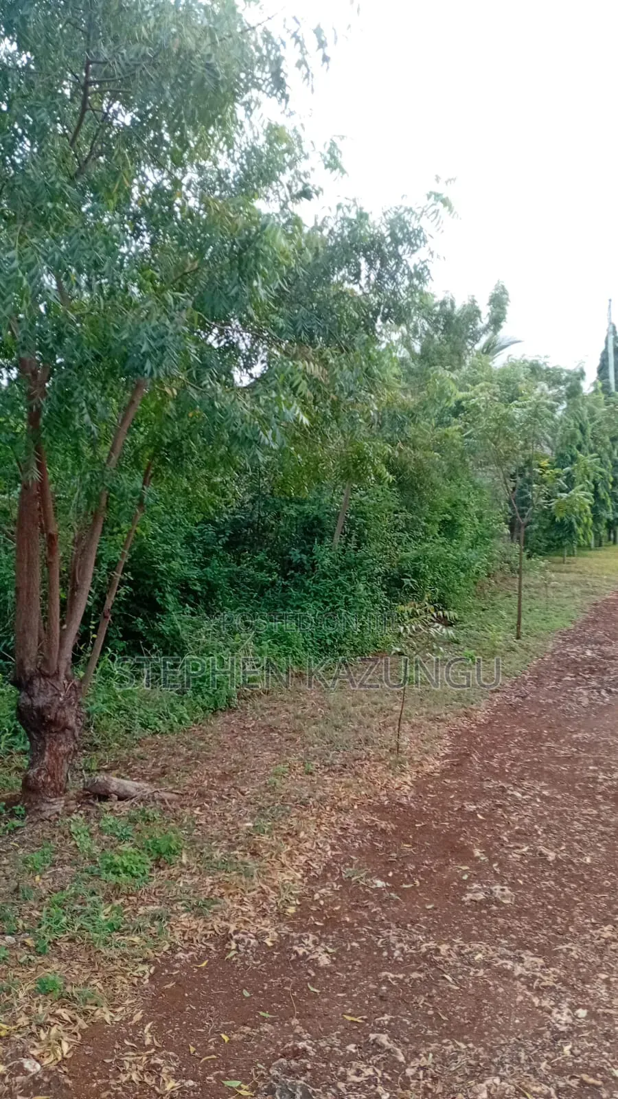 2nd Row's End 1/4 Acre Plot Size in Galu Beach Near Almanara Hotel.