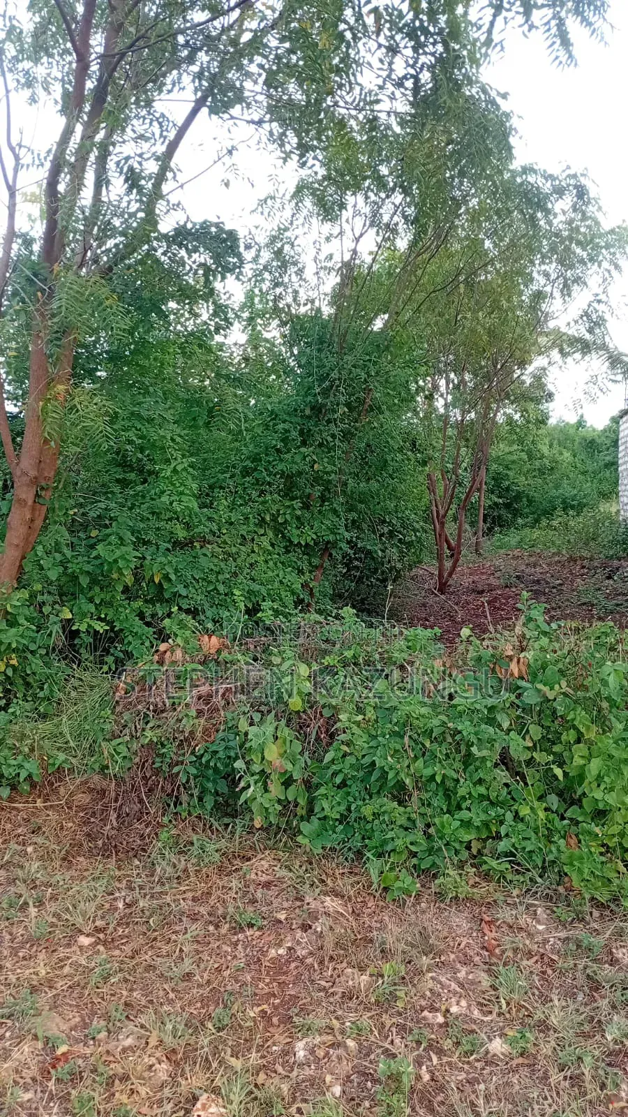 2nd Row's End 1/4 Acre Plot Size in Galu Beach Near Almanara Hotel.