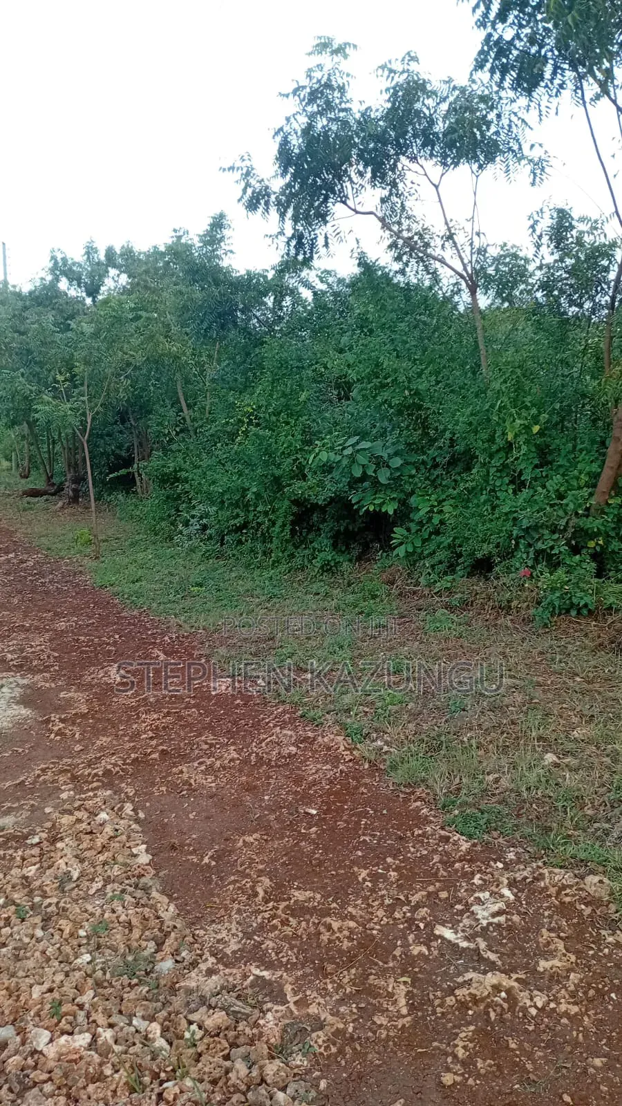 2nd Row's End 1/4 Acre Plot Size in Galu Beach Near Almanara Hotel.