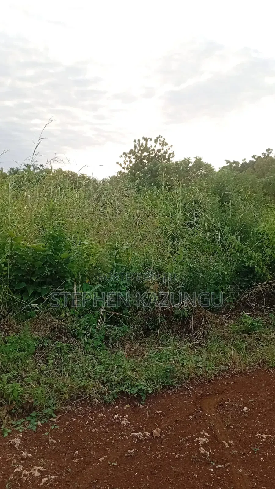 2nd Row's End 1/4 Acre Plot Size in Galu Beach Near Almanara Hotel.