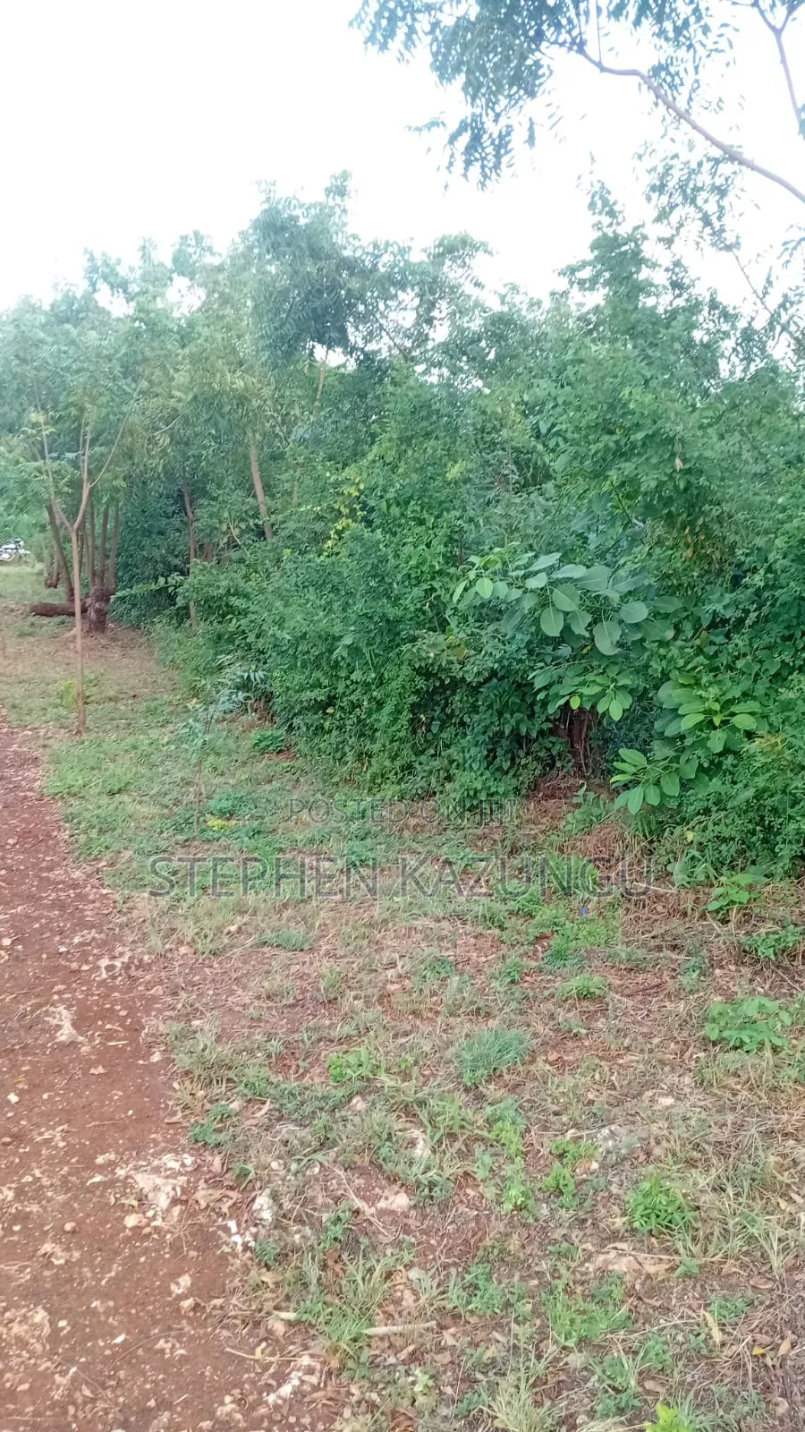 2nd Row's End 1/4 Acre Plot Size in Galu Beach Near Almanara Hotel.