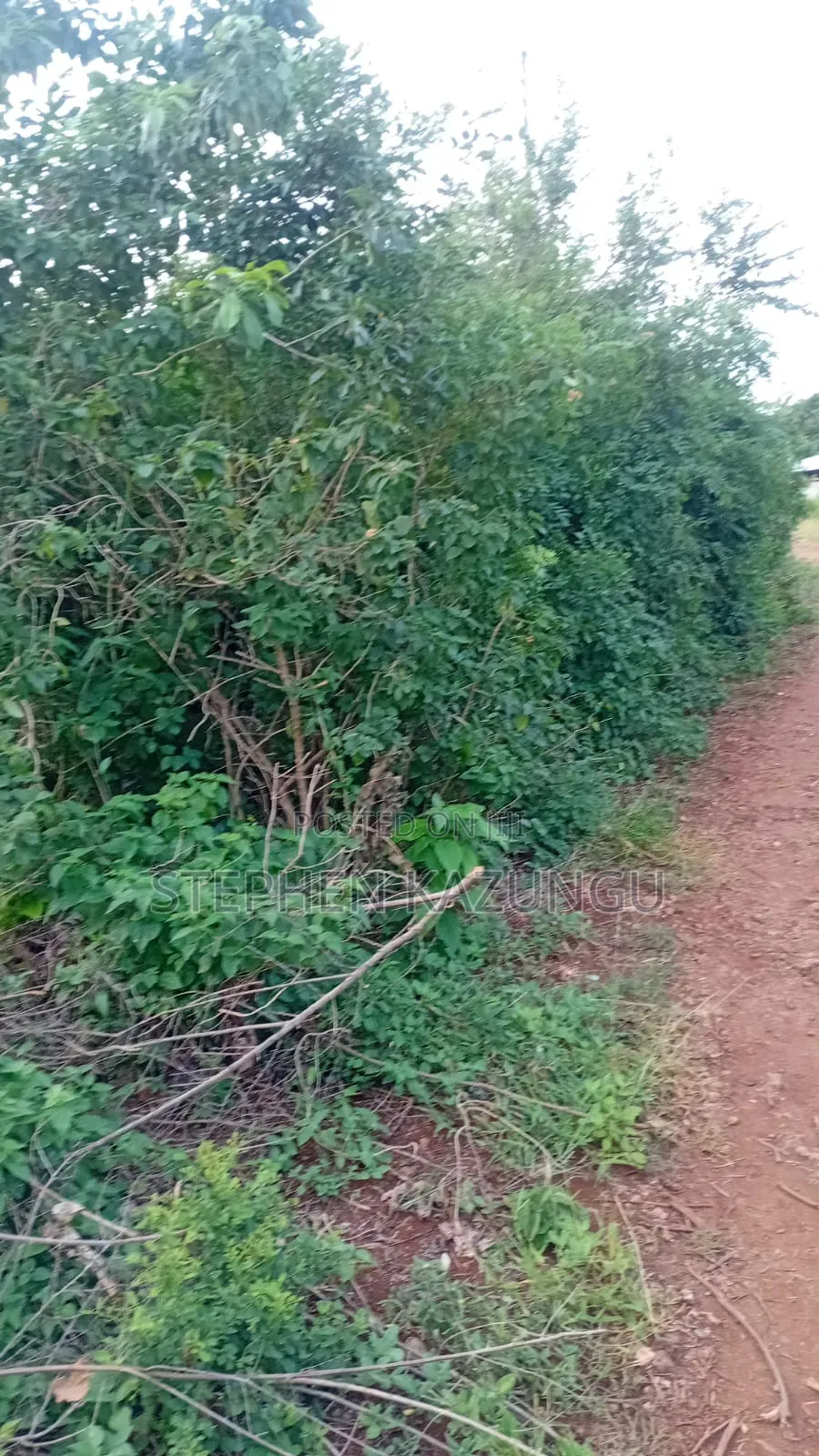 2nd Row's End 1/4 Acre Plot Size in Galu Beach Near Almanara Hotel.