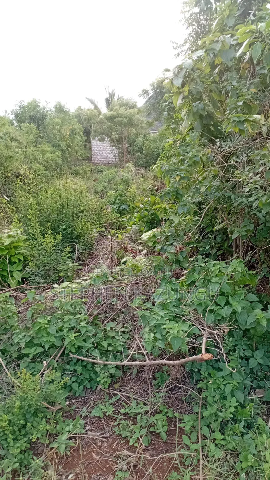 2nd Row's End 1/4 Acre Plot Size in Galu Beach Near Almanara Hotel.