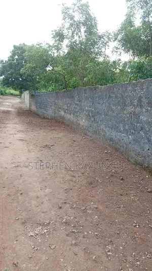 2nd Row's End 1/4 Acre Plot Size in Galu Beach Near Almanara Hotel.