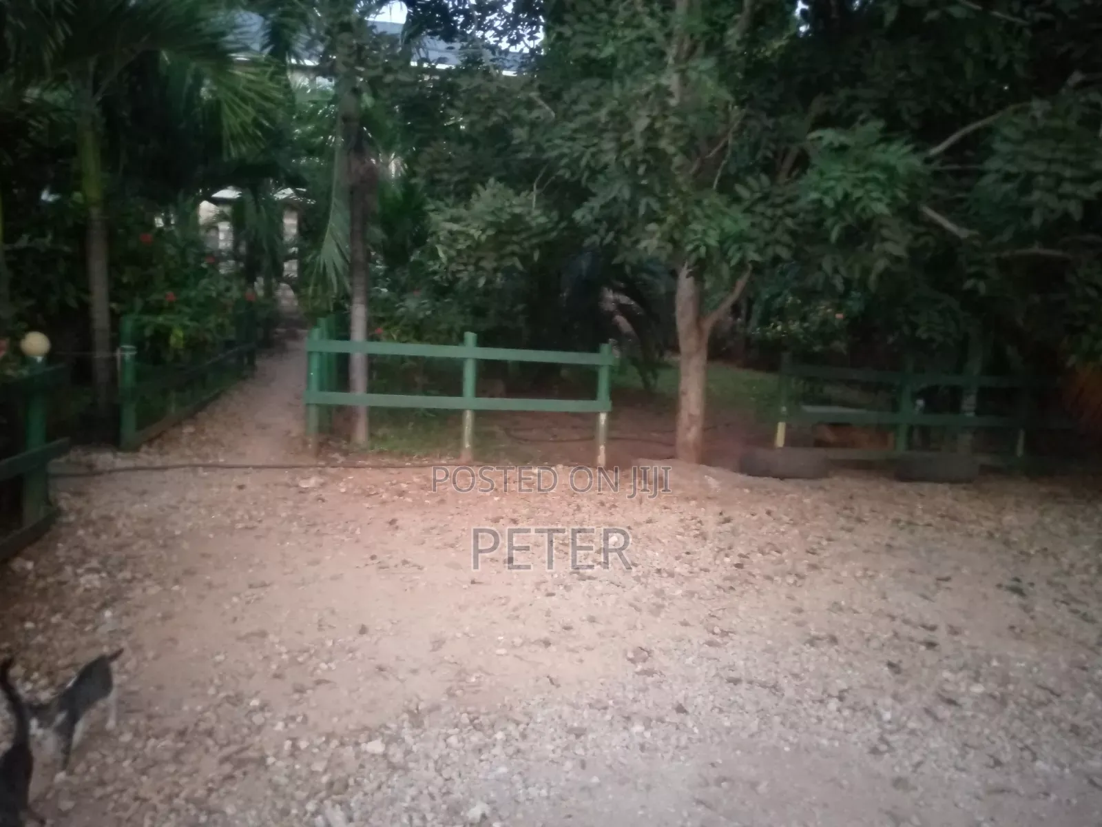 Two Bedroom Bungalow