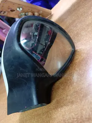 Wing Mirror Dualis/Fender Mirror