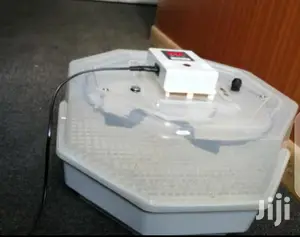 60egg Incubator Machine