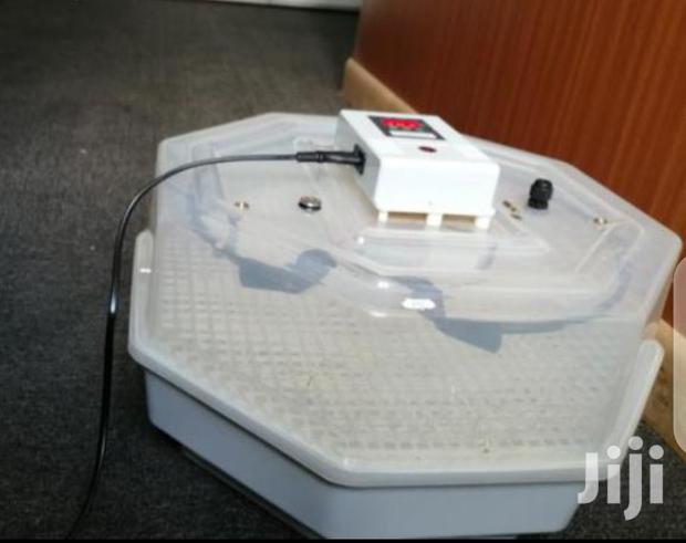 60egg Incubator Machine - main view