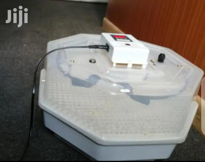 60egg Incubator Machine