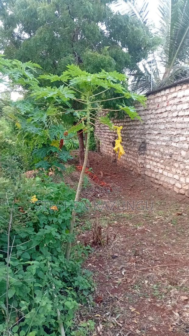 Spacious 1/4 Acre Plot at Galu Beach Near the Beach - thumbnail 5