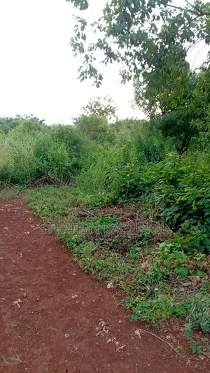 Spacious 1/4 Acre Plot at Galu Beach Near the Beach
