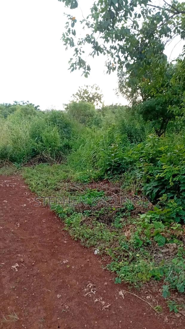 Spacious 1/4 Acre Plot at Galu Beach Near the Beach - thumbnail 6