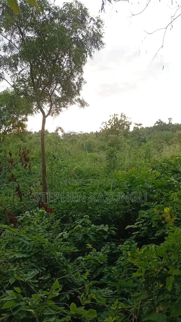 Spacious 1/4 Acre Plot at Galu Beach Near the Beach - thumbnail 9