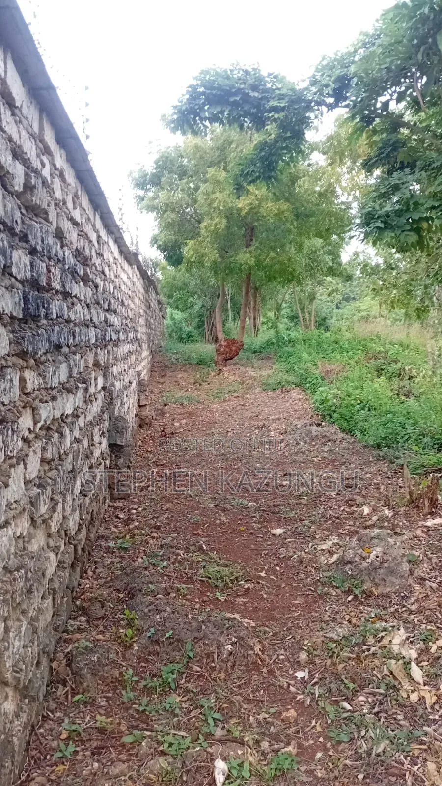 Spacious 1/4 Acre Plot at Galu Beach Near the Beach