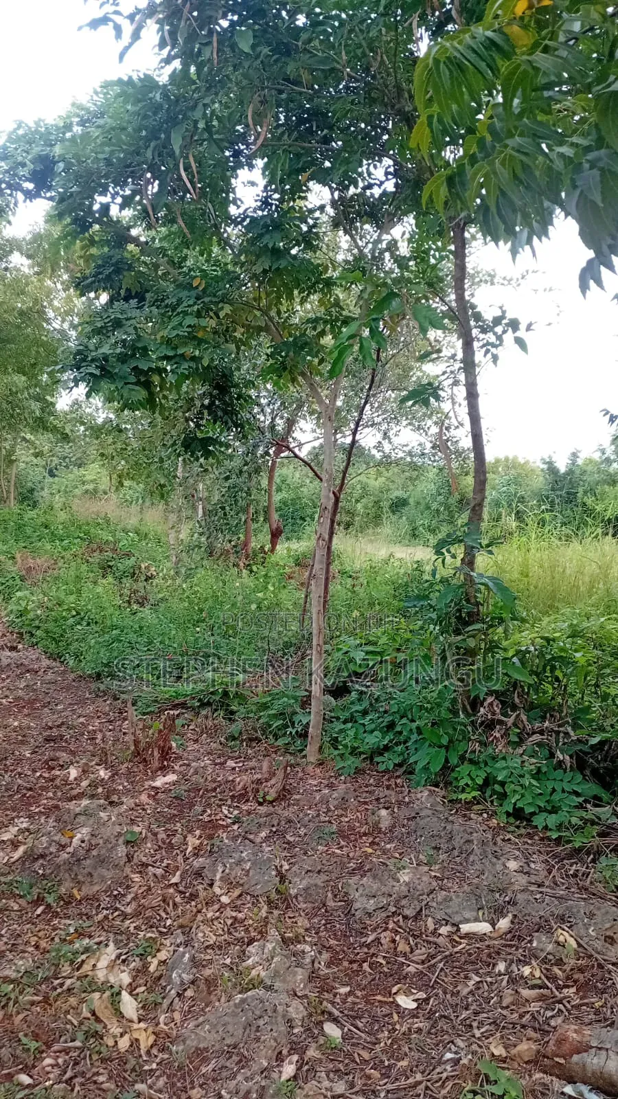 Spacious 1/4 Acre Plot at Galu Beach Near the Beach