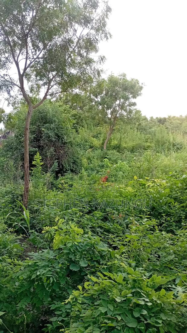 Spacious 1/4 Acre Plot at Galu Beach Near the Beach - thumbnail 11
