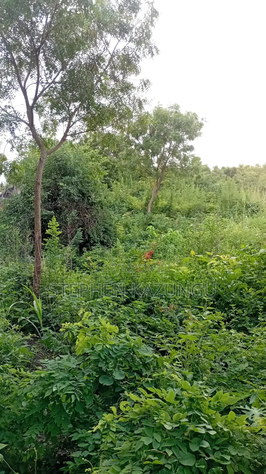 Spacious 1/4 Acre Plot at Galu Beach Near the Beach