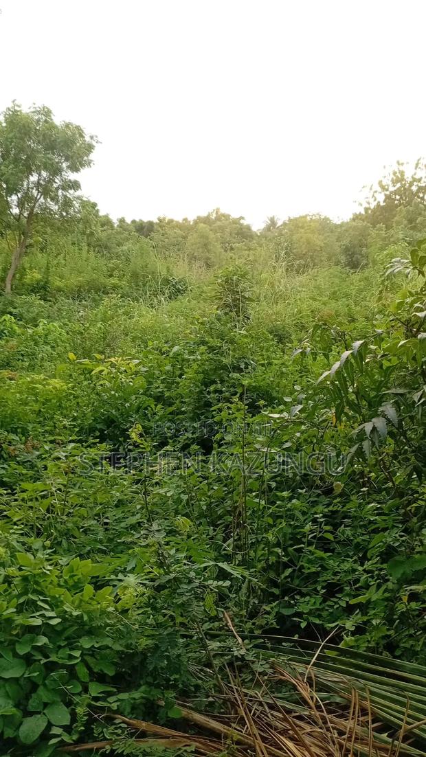 Spacious 1/4 Acre Plot at Galu Beach Near the Beach - thumbnail 12