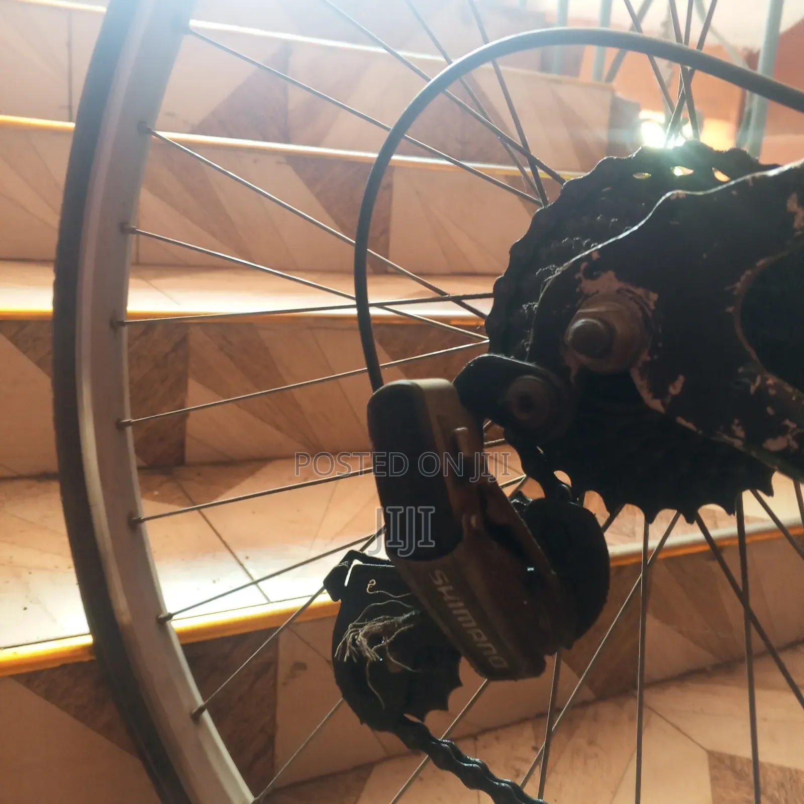 Mountain Bike