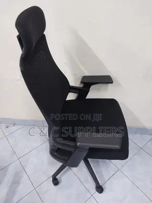 Modern Lama Ergonomic Mesh Chair.