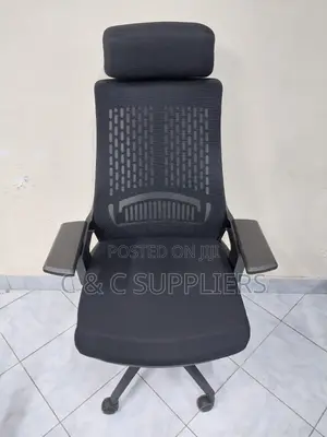 Modern Lama Ergonomic Mesh Chair.