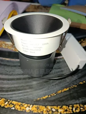 Ant Grey Downlighter