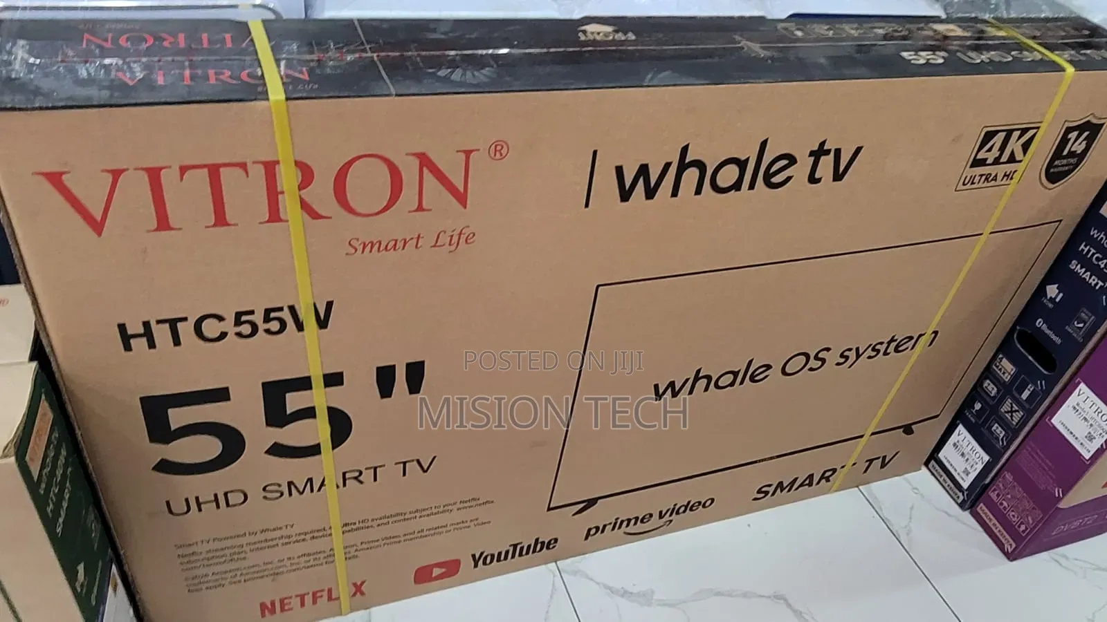 Vitron 55 Inches Whale **