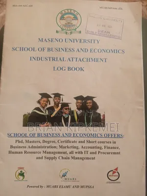 Accounting Finance Undergraduate Available for Internship