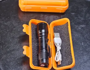 Zoom Torch Metallic Mini
