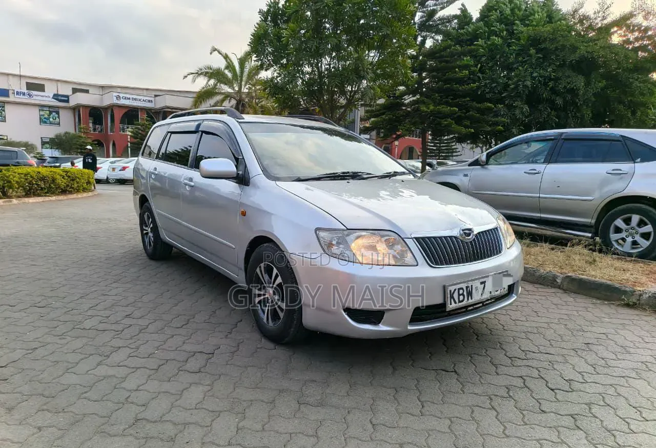 Toyota Corolla Fielder 2006 Silver