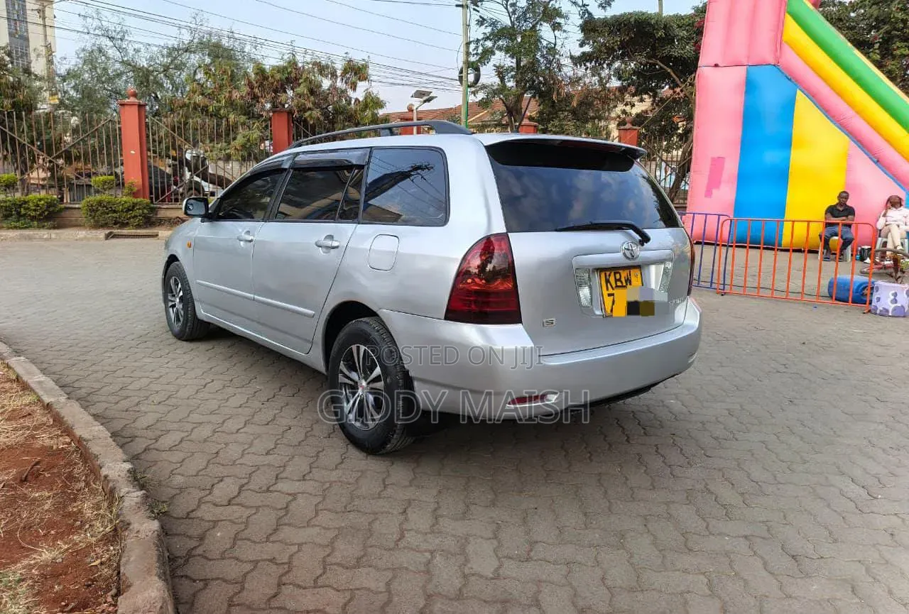 Toyota Corolla Fielder 2006 Silver