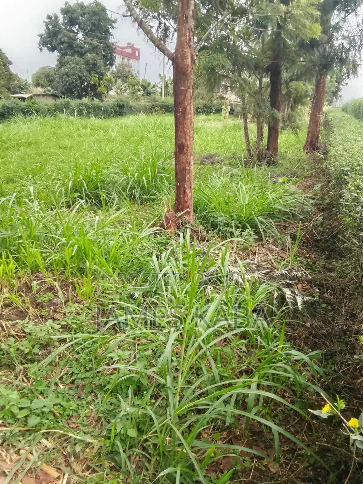 Land for Sale in Lower Kabete