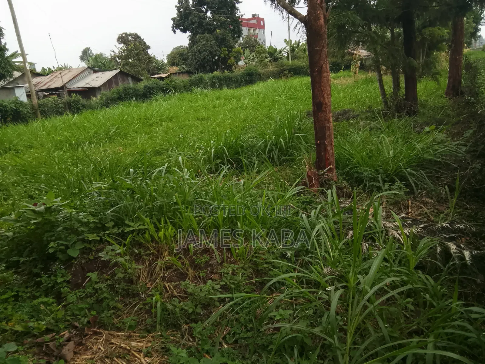 Land for Sale in Lower Kabete