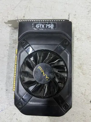 PNY NVIDIA GeForce GTX 750 Ti Graphics Card,