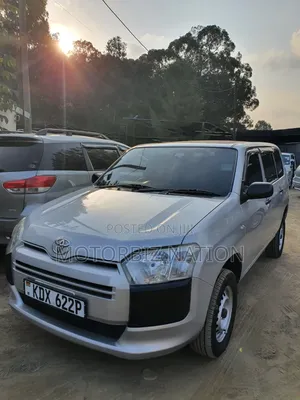 Toyota Probox 2019 Gray