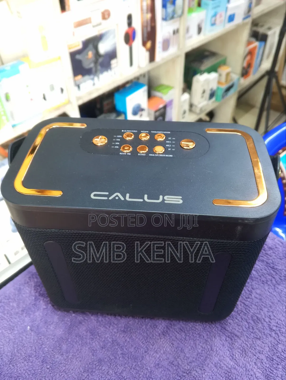 Calus Citation LCD Bluetooth Karaoke Speaker
