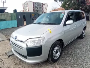 Toyota Probox 2019 Silver