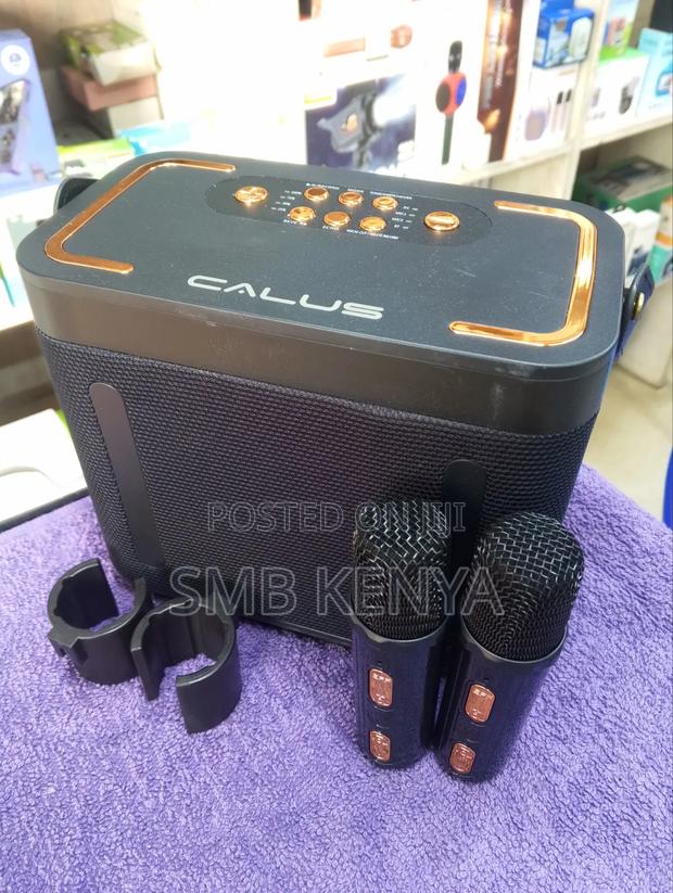 Citation 500 Wireless Speaker - thumbnail 2