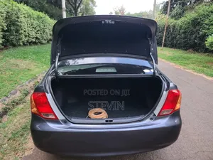 Toyota Axio 2012 Gray