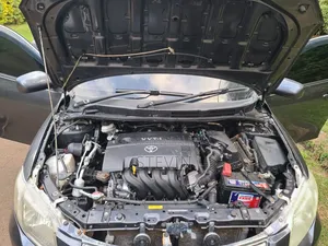 Toyota Axio 2012 Gray