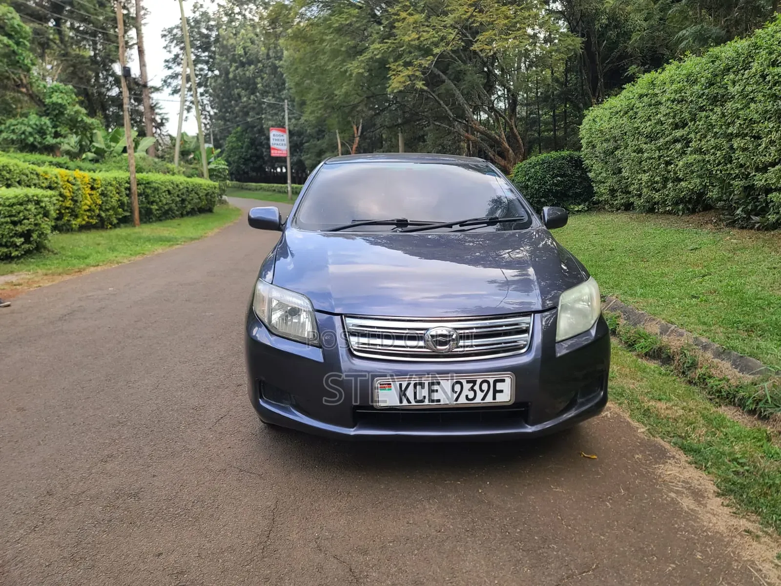 Toyota Axio 2012 Gray