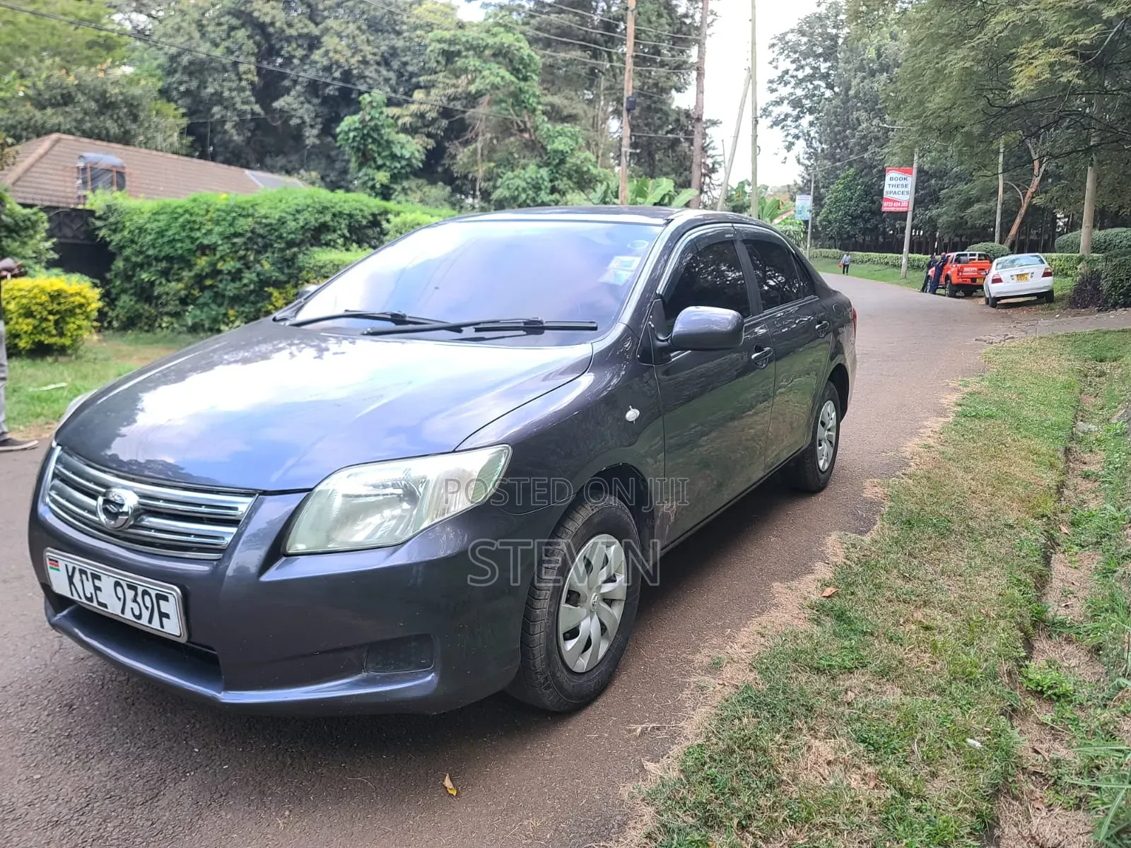 Toyota Axio 2012 Gray